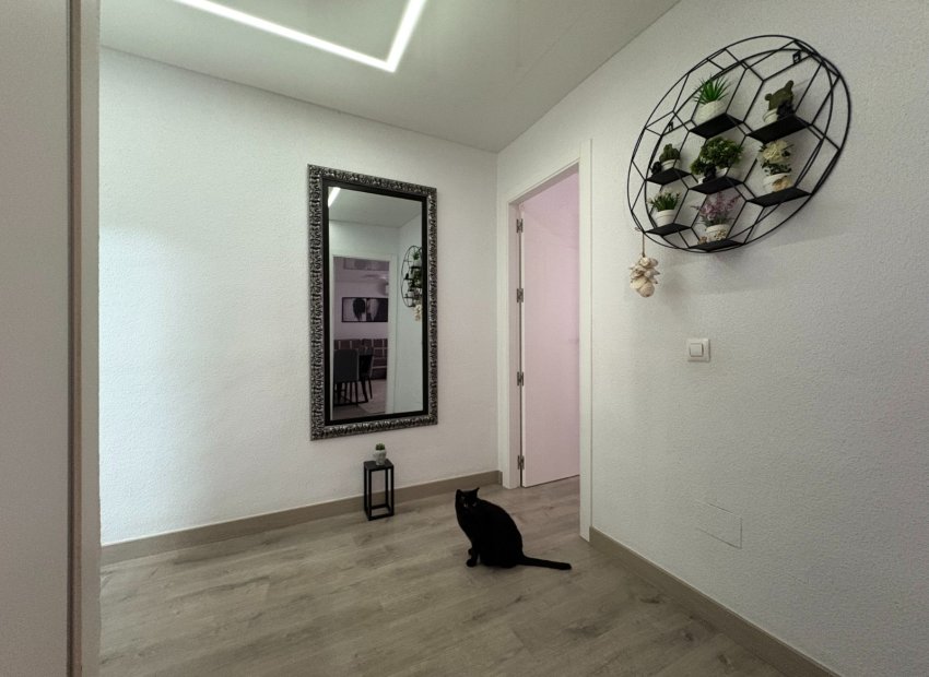 Resale - Apartment / flat - Torrevieia - Center