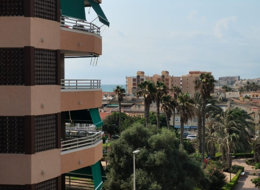 Resale - Apartment / flat - Torrevieia - La Mata