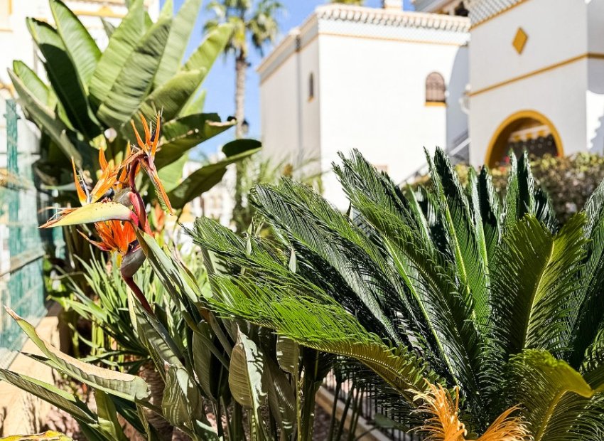 Resale - Apartment / flat - Torrevieia - La Mata