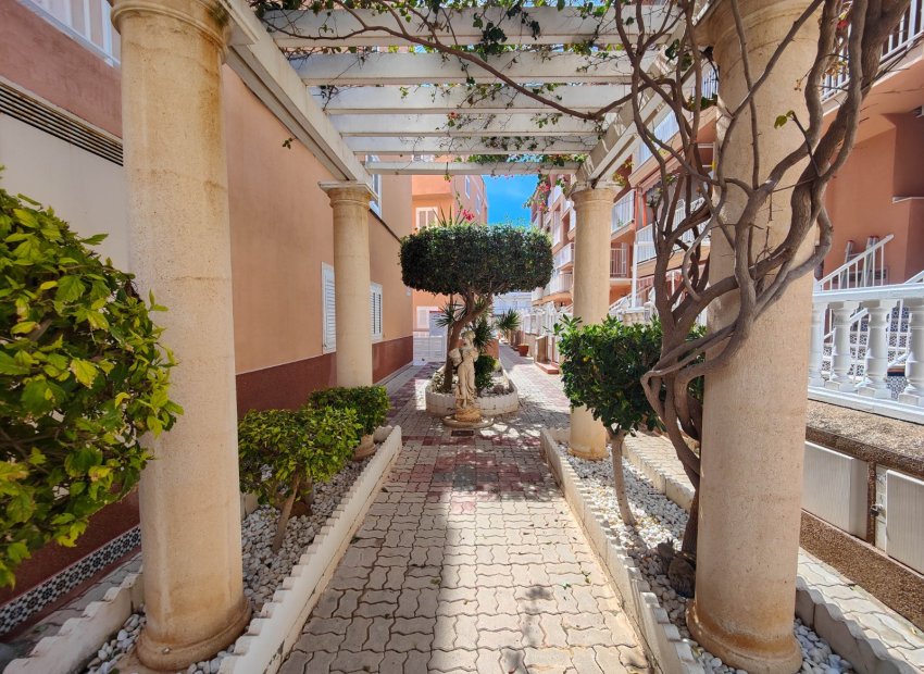 Resale - Apartment / flat - Torrevieia - La Mata