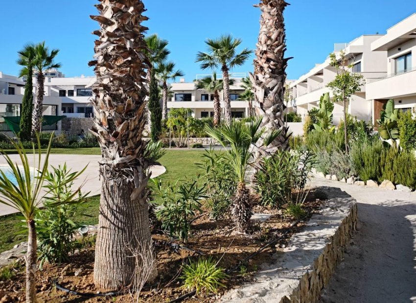Resale - Apartment / flat - Torrevieia - La Veleta