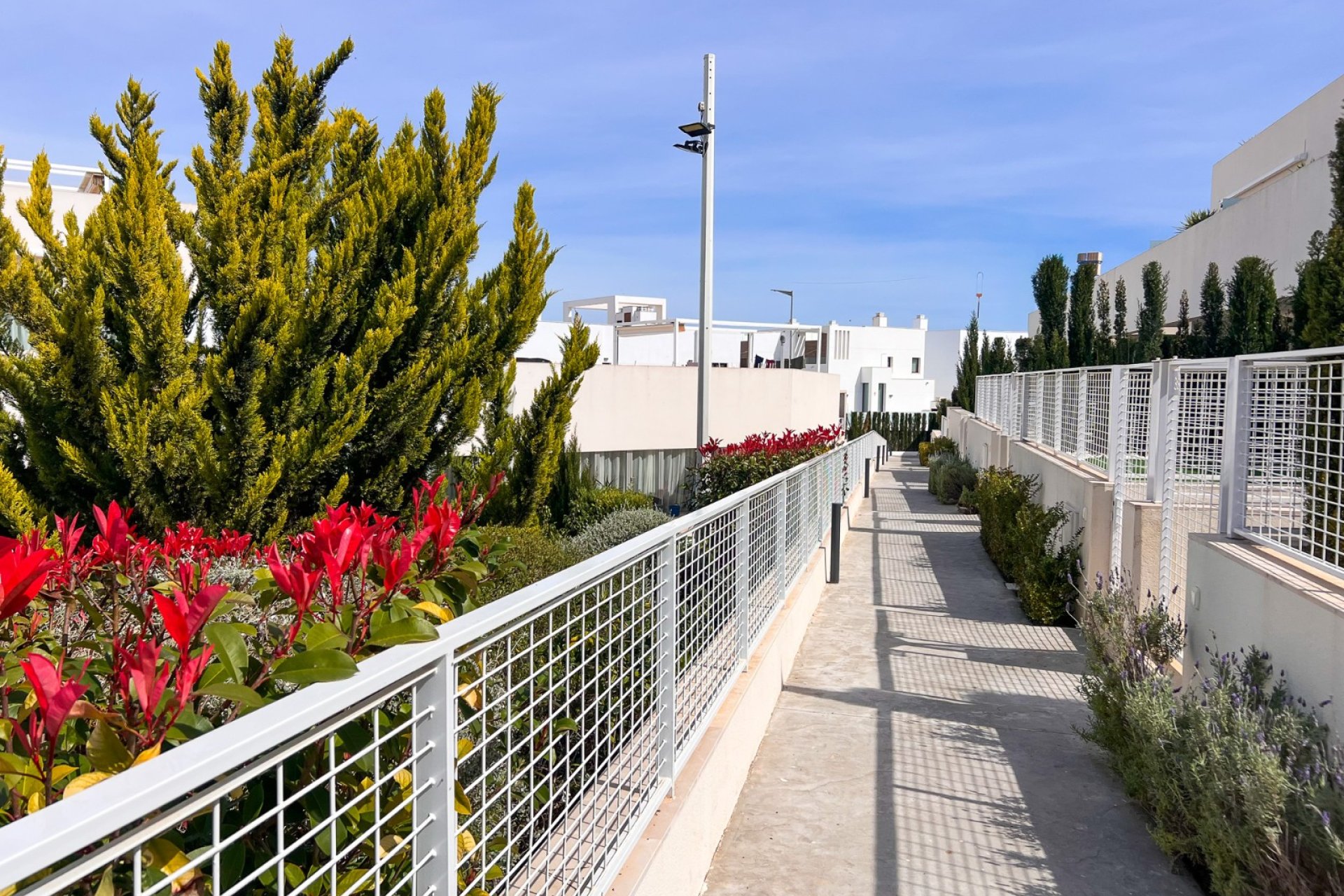 Resale - Apartment / flat - Torrevieia - Los Balcones