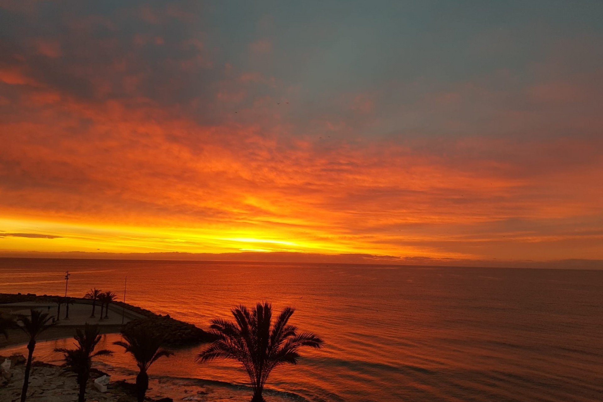 Resale - Apartment / flat - Torrevieia - Playa del Cura