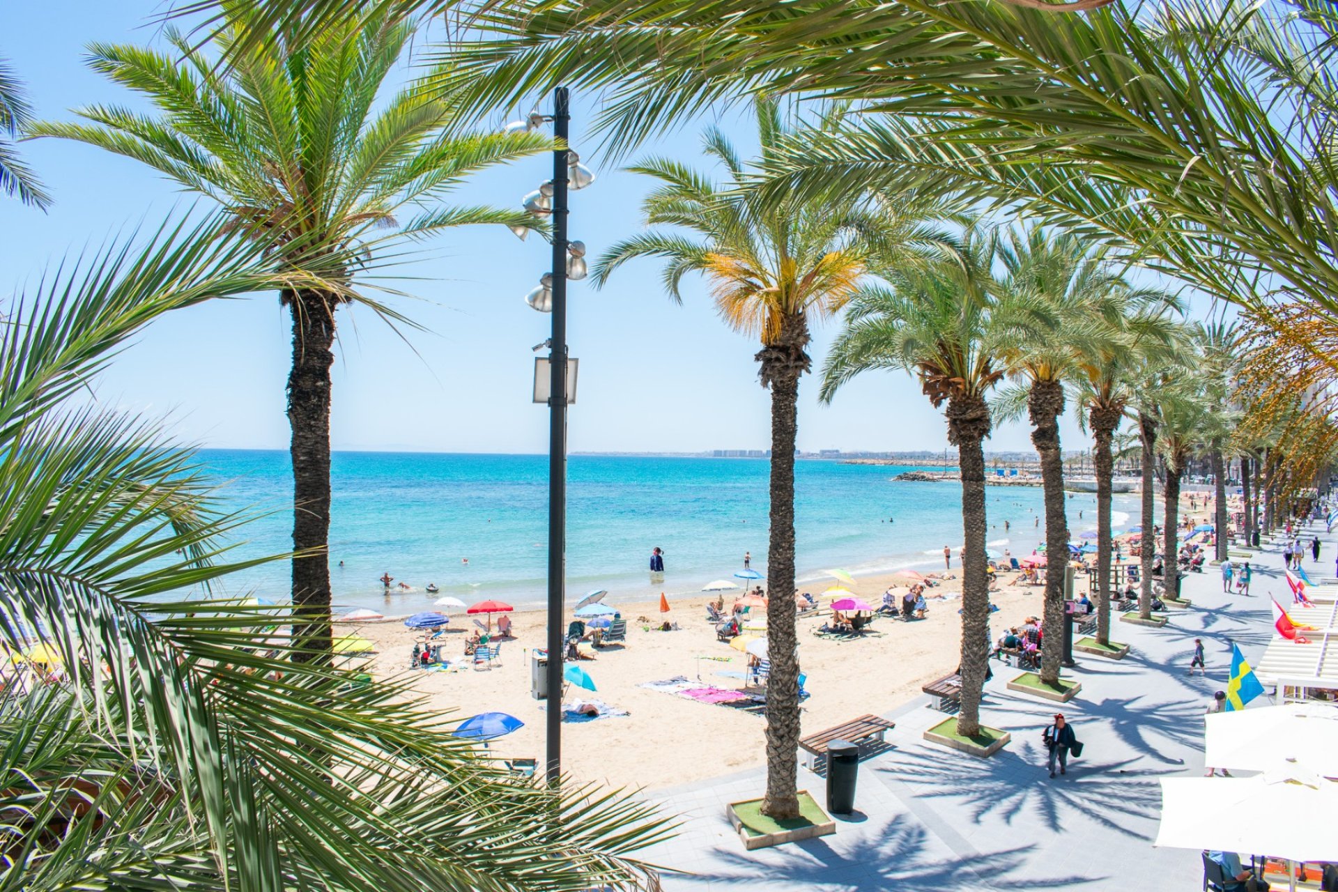 Resale - Apartment / flat - Torrevieia - Playa del Cura