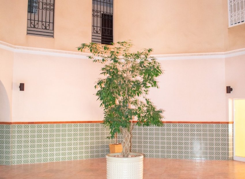 Resale - Apartment / flat - Torrevieia - Playa Los Locos