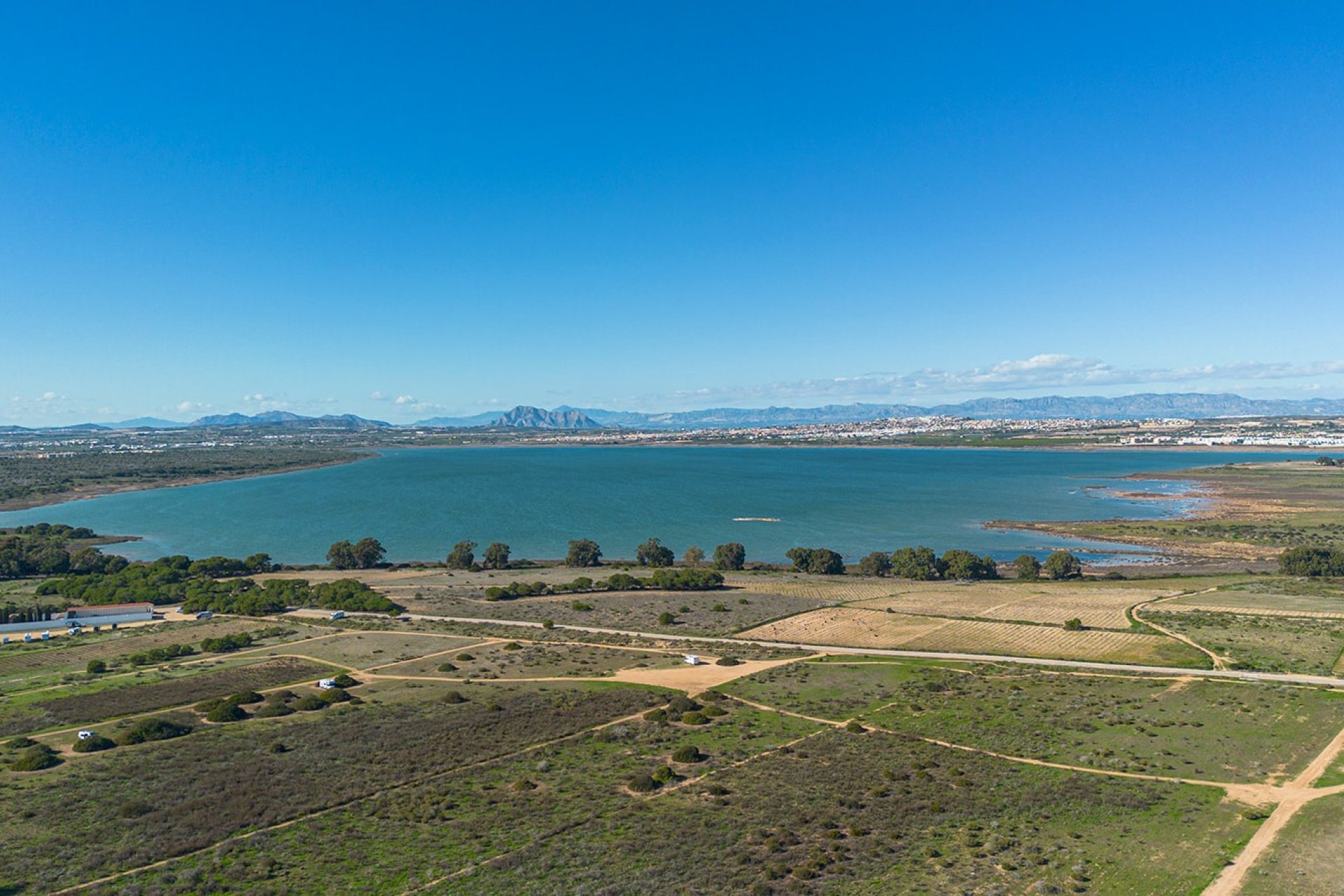 Resale - Apartment / flat - Torrevieia - Torrelamata - La Mata