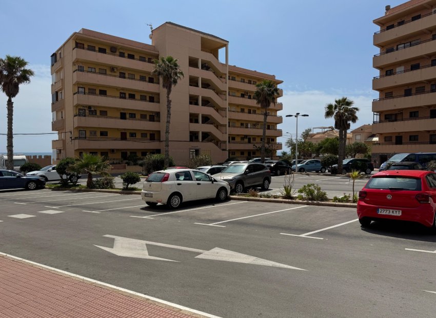 Resale - Apartment / flat - Torrevieia - Torrevieja>Cabo Cervera