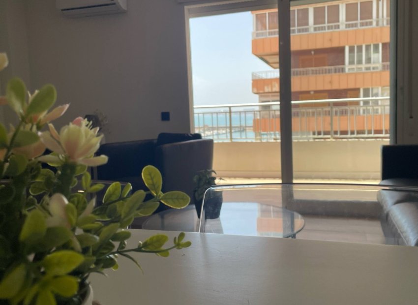 Resale - Apartment / flat - Torrevieia - Torrevieja