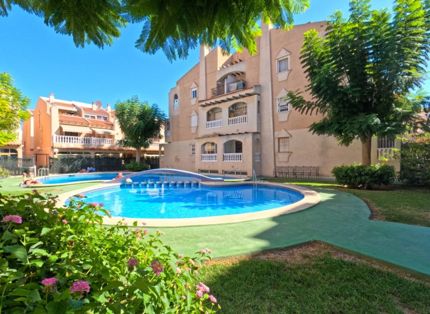 Resale - Apartment / flat - Torrevieia - Torrevieja