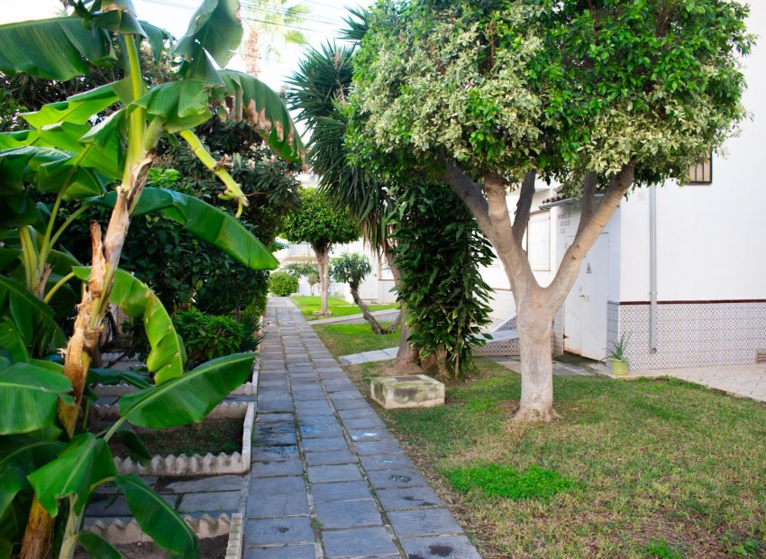 Resale - Apartment / flat - Torrevieia - Torrevieja