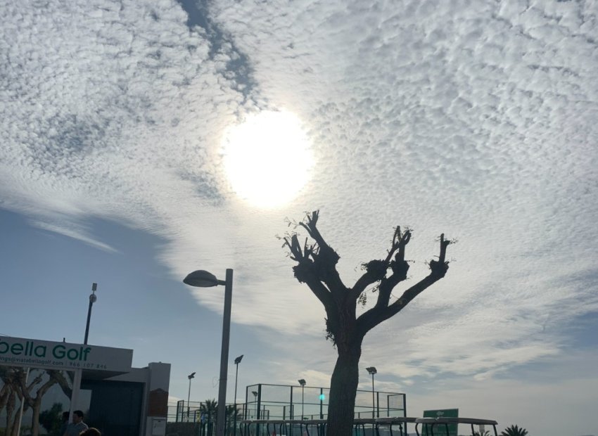 Resale - Apartment Penthouse - Entre Naranjo - Vistabella Golf - Entre Naranjos