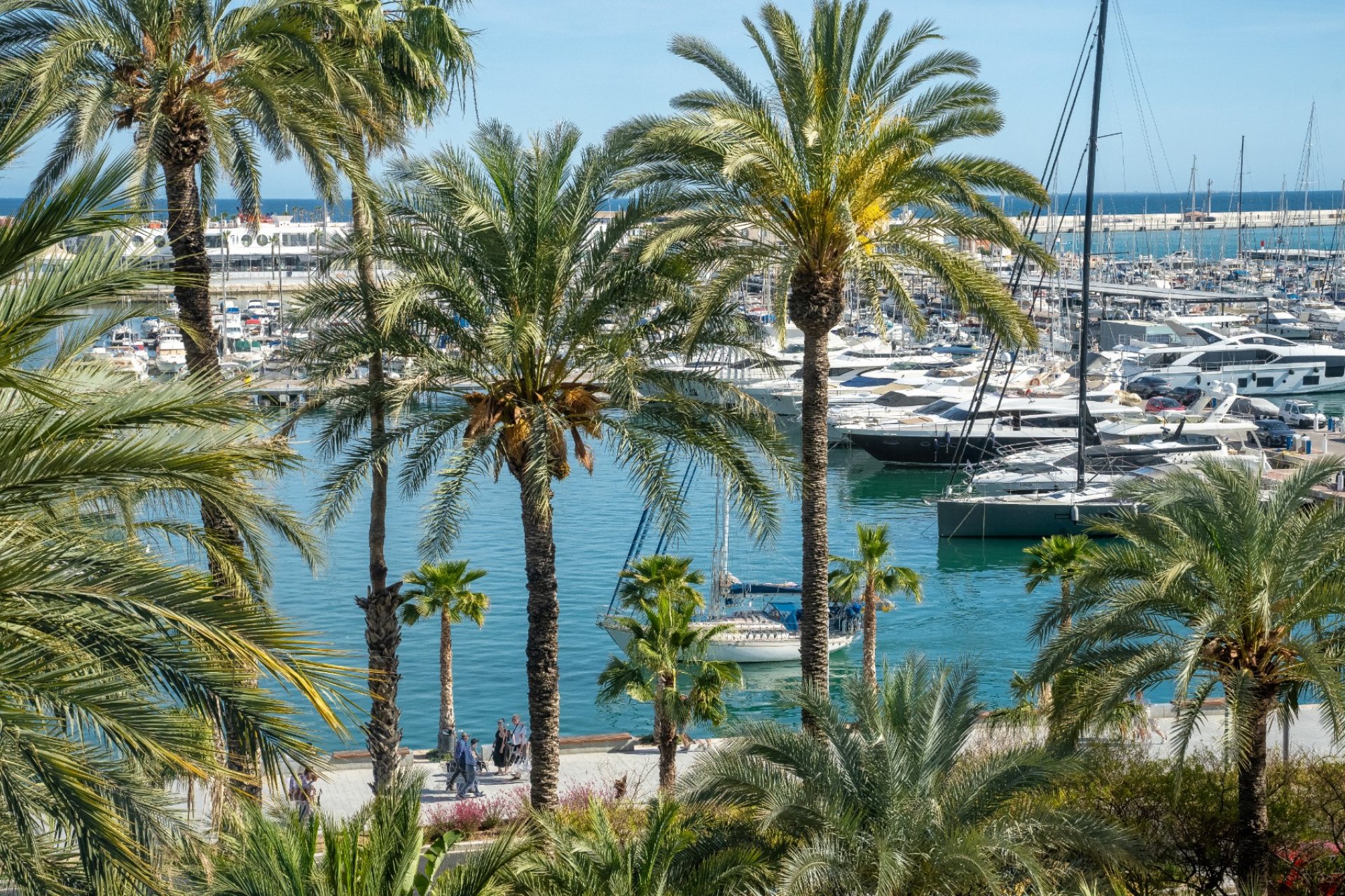 Resale - Apartments - Flats - Alicante - Center