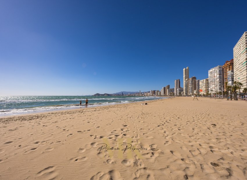 Resale - Apartments - Flats - Benidorm - Coblanca