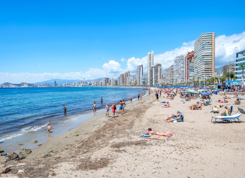 Resale - Apartments - Flats - Benidorm - Levante