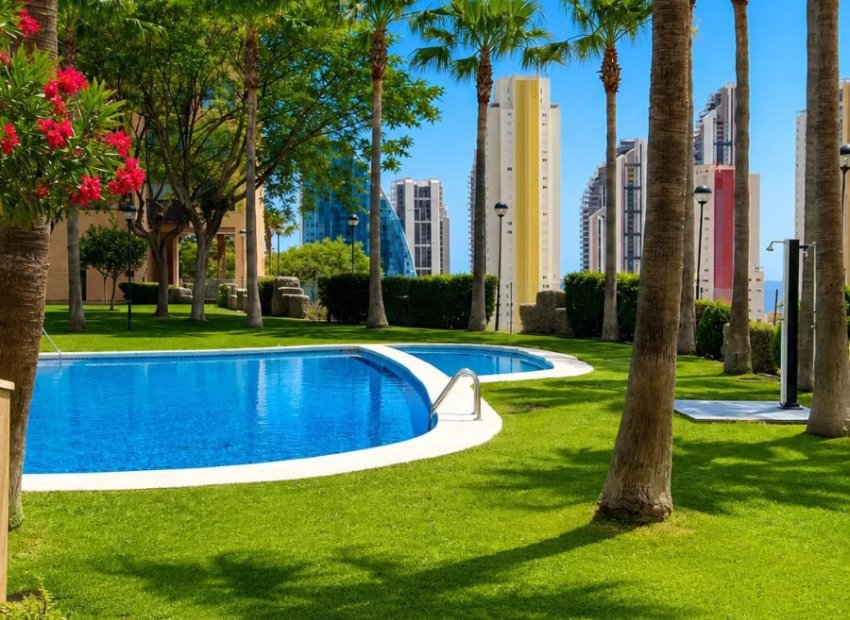 Resale - Apartments - Flats - Benidorm - Playa Poniente
