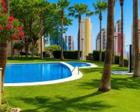 Resale - Apartments - Flats - Benidorm - Playa Poniente