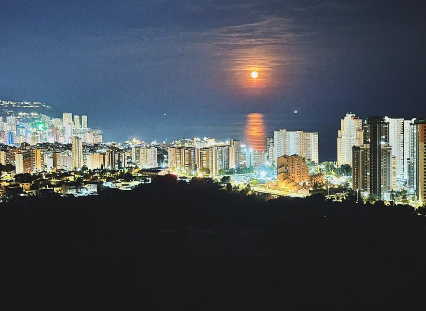 Resale - Apartments - Flats - Benidorm - Playa Poniente
