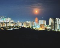 Resale - Apartments - Flats - Benidorm - Playa Poniente
