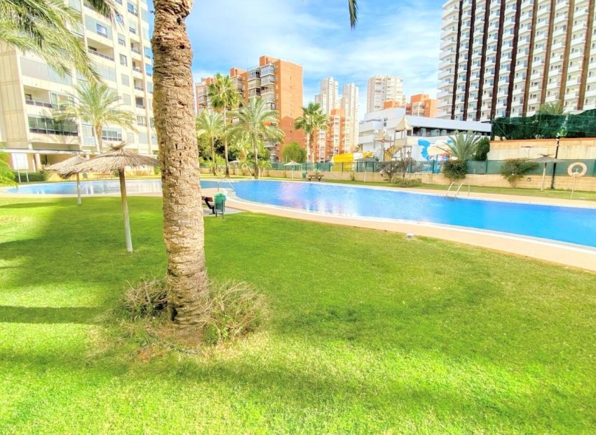 Resale - Apartments - Flats - Benidorm - Rincón de Loix