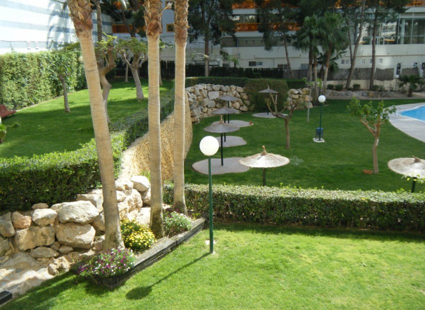Resale - Apartments - Flats - Benidorm - Rincón de Loix