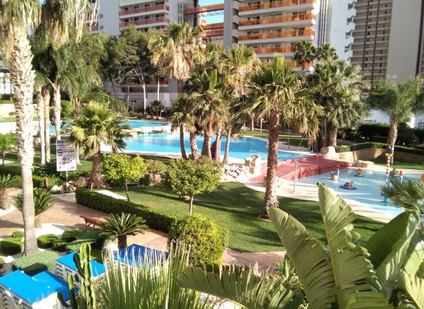 Resale - Apartments - Flats - Benidorm - Rincón de Loix