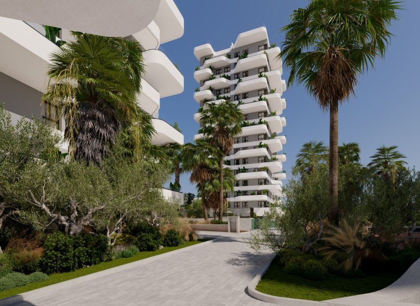 Resale - Apartments - Flats - Calpe - Playa Arenal Bol