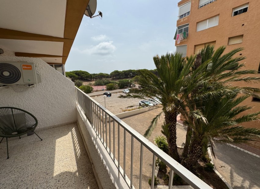Resale - Apartments - Flats - Guardamar del Segura - Pinomar