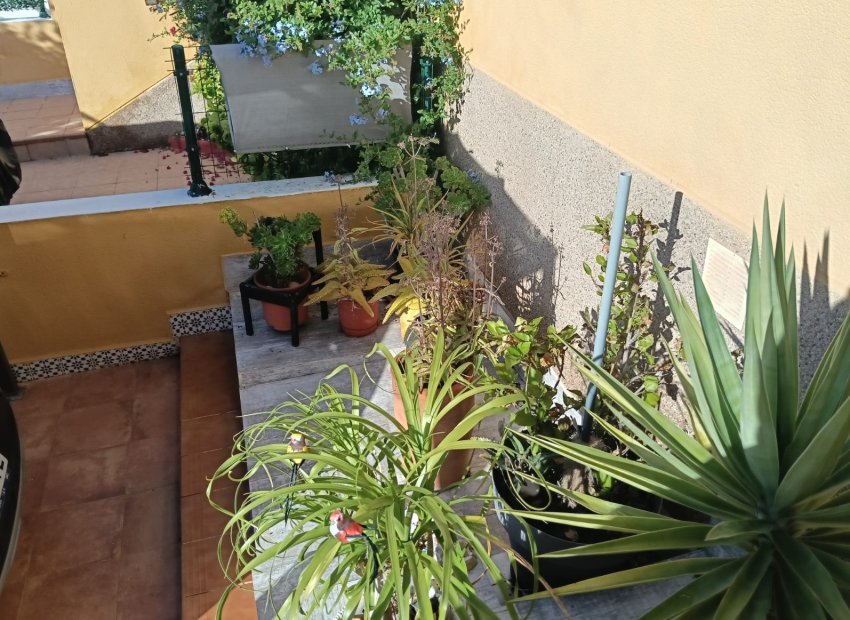 Resale - Apartments - Flats - Los Montesinos - La Herrada