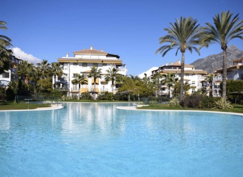 Resale - Apartments - Flats - Marbella - Nueva Andalucía