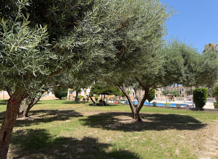 Resale - Apartments - Flats - Orihuela Costa - Blue Lagoon