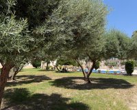 Resale - Apartments - Flats - Orihuela Costa - Blue Lagoon