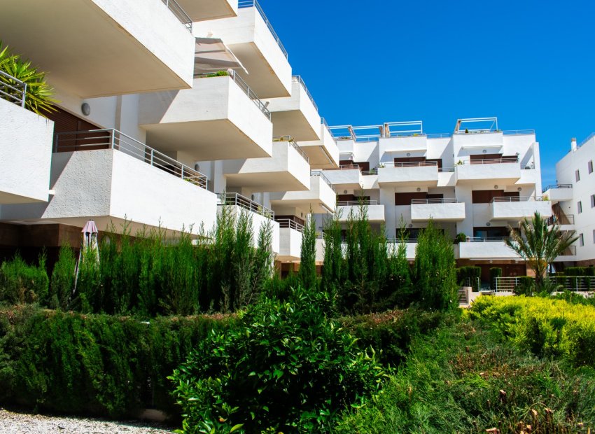 Resale - Apartments - Flats - Orihuela Costa - Cabo Roig