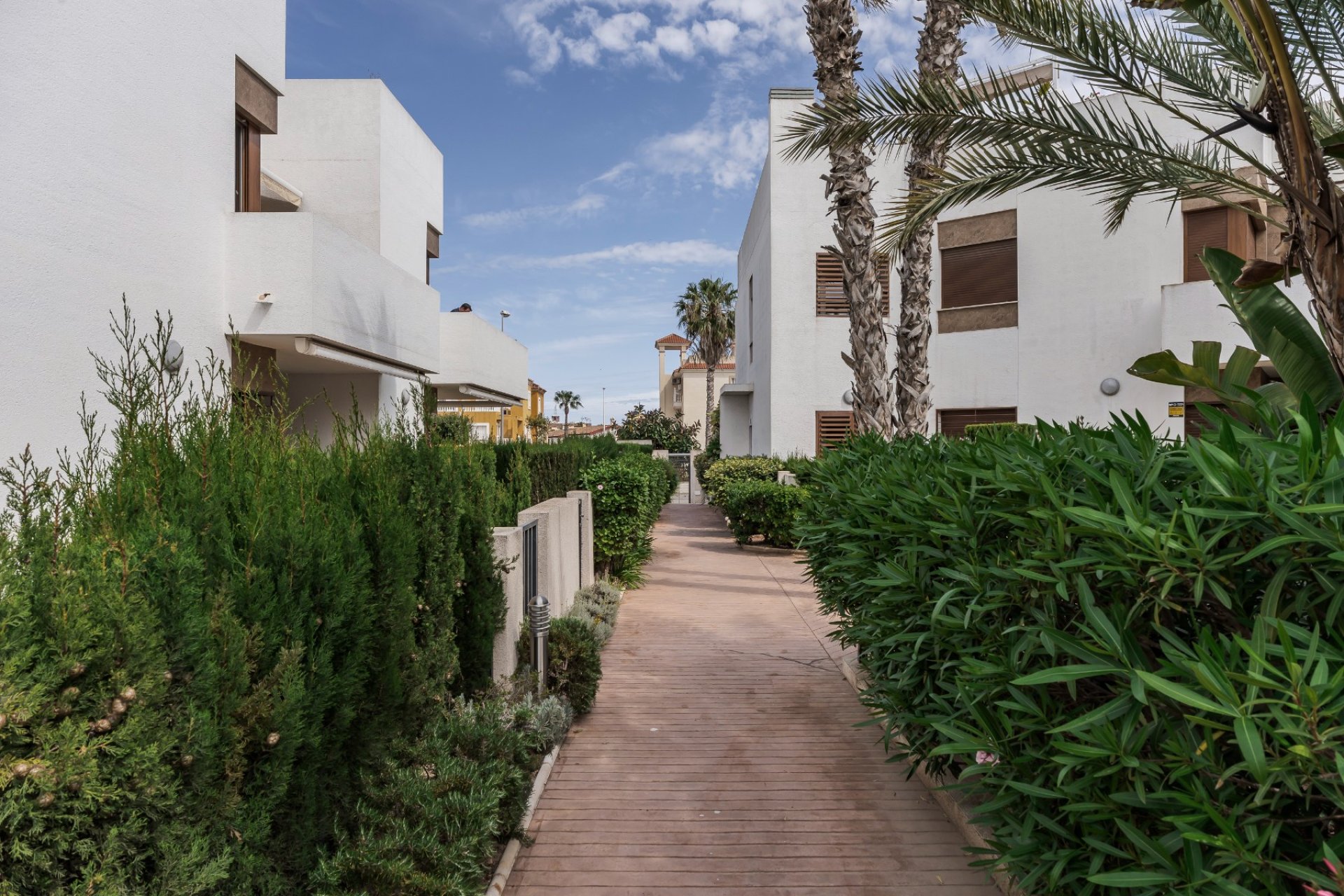 Resale - Apartments - Flats - Orihuela Costa - La Zenia
