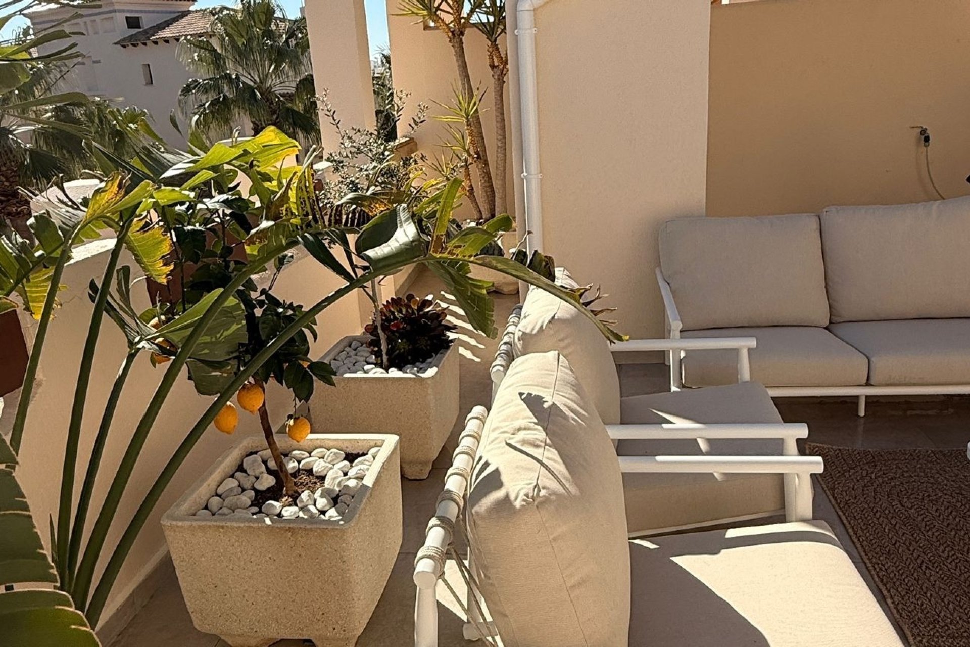 Resale - Apartments - Flats - Orihuela Costa - Las Ramblas