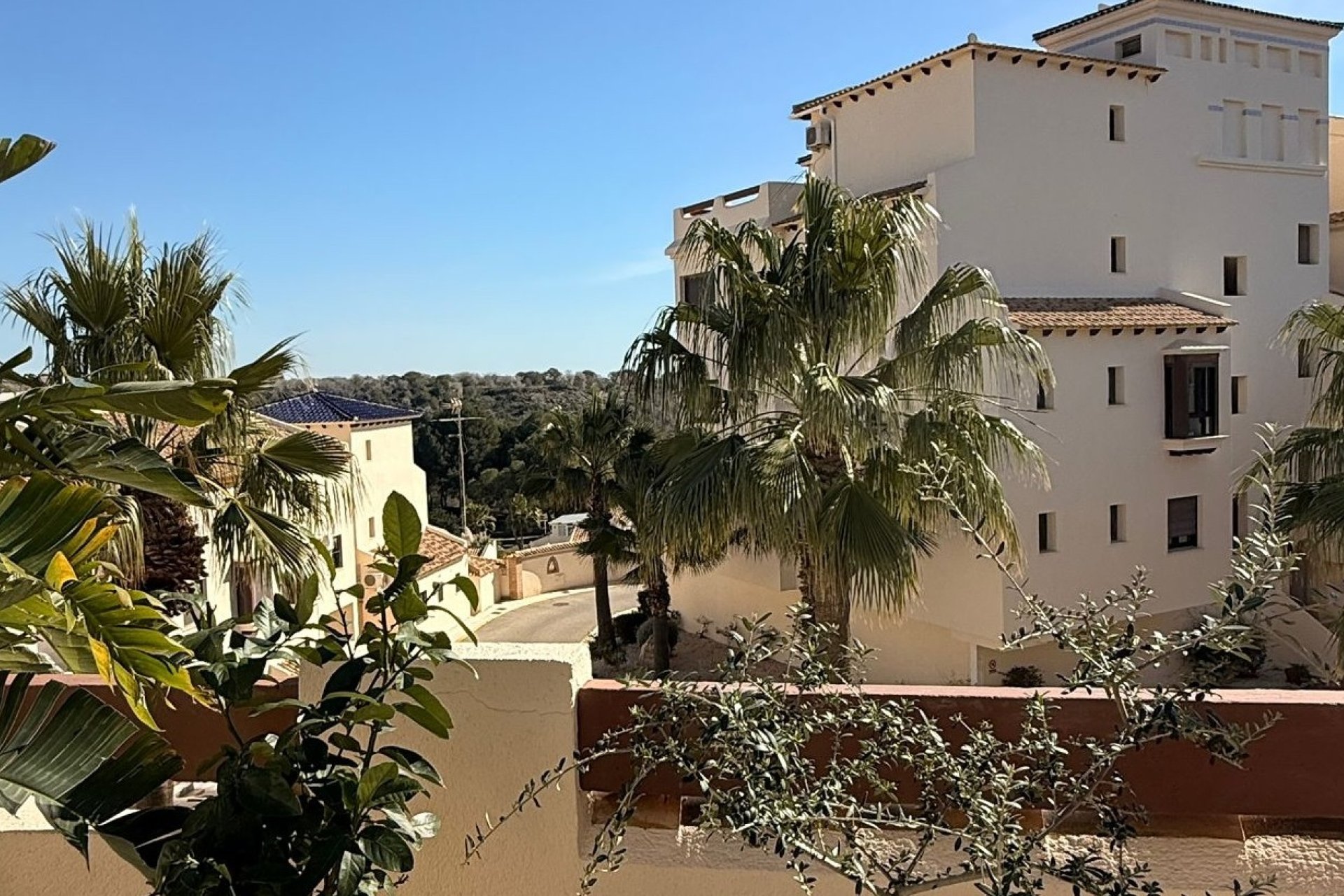 Resale - Apartments - Flats - Orihuela Costa - Las Ramblas