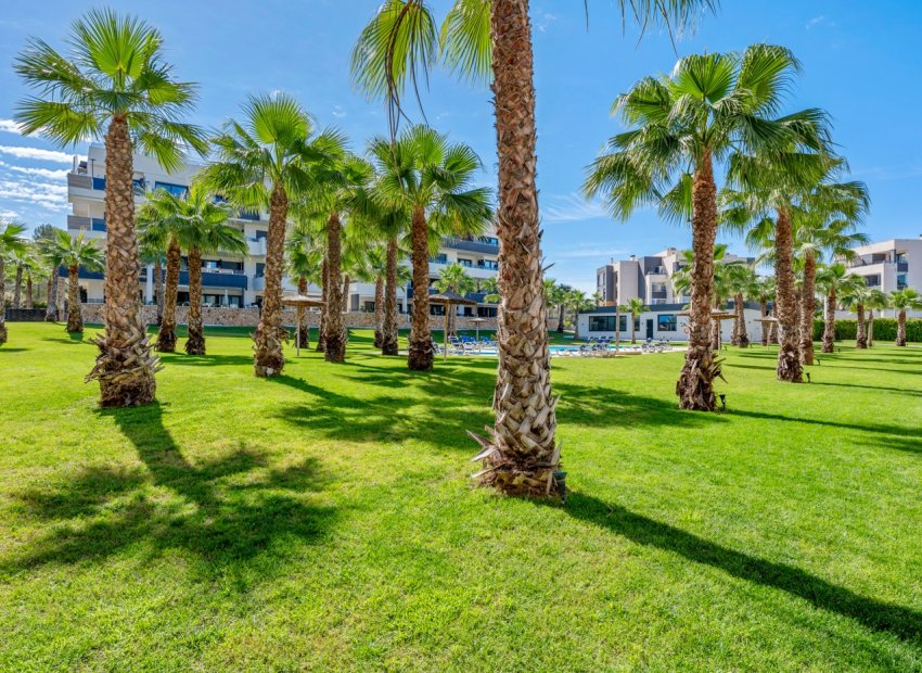 Resale - Apartments - Flats - Orihuela Costa - Los Altos