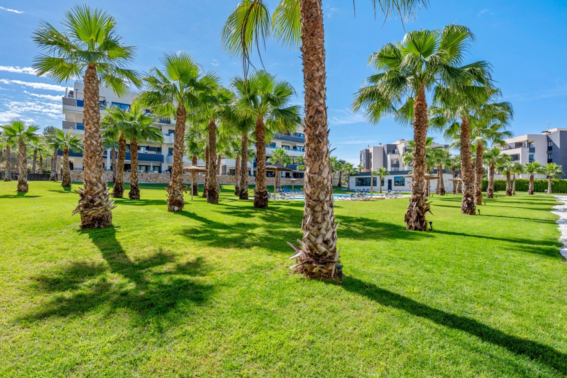 Resale - Apartments - Flats - Orihuela Costa - Los Altos