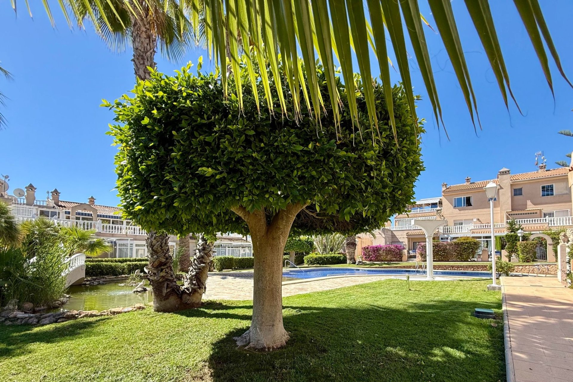Resale - Apartments - Flats - Orihuela Costa - Playa Flamenca