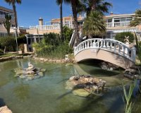 Resale - Apartments - Flats - Orihuela Costa - Playa Flamenca