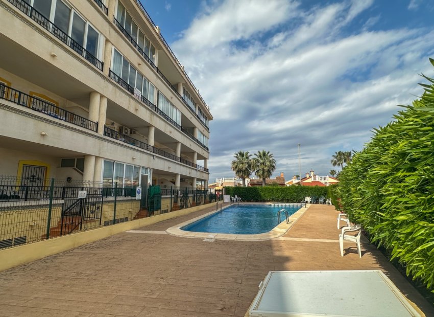 Resale - Apartments - Flats - Orihuela Costa - Playa Flamenca