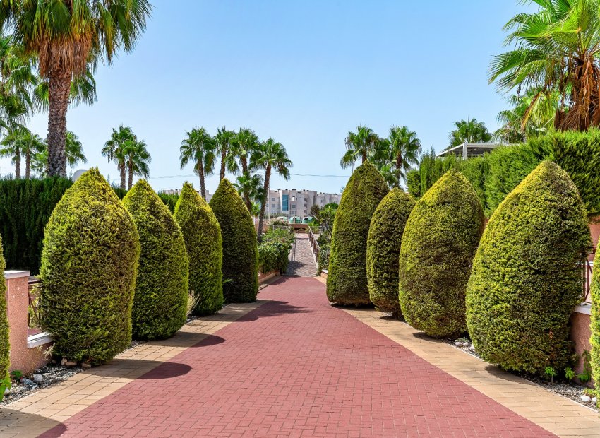 Resale - Apartments - Flats - Orihuela Costa - Playa Flamenca