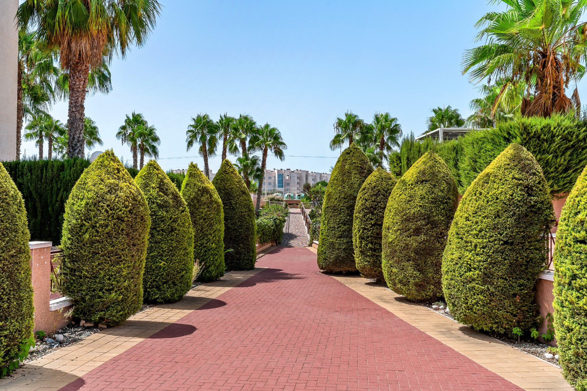 Resale - Apartments - Flats - Orihuela Costa - Playa Flamenca