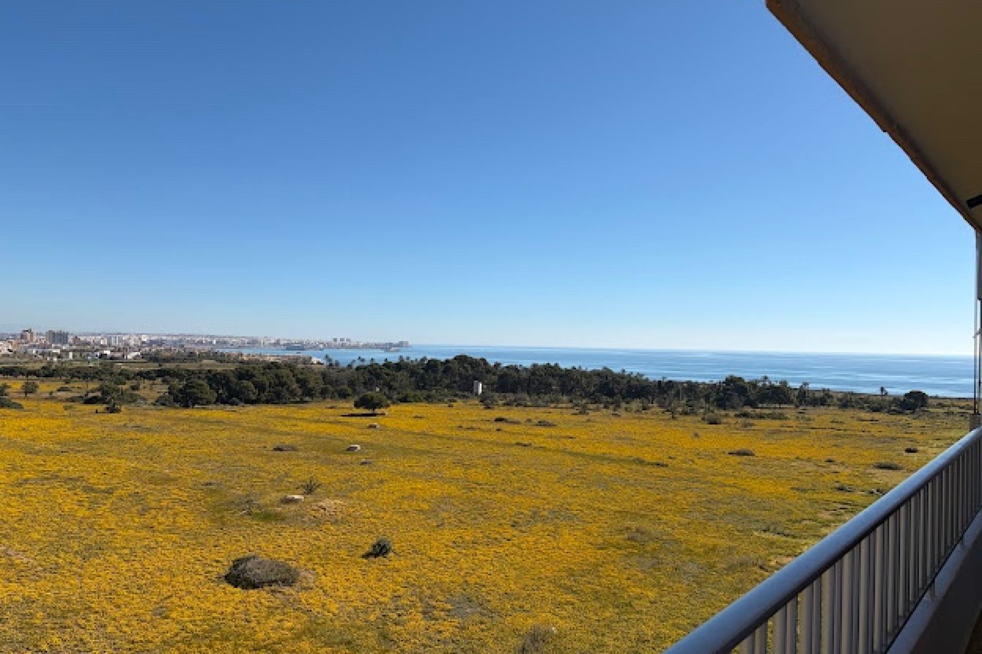 Resale - Apartments - Flats - Orihuela Costa - Punta Prima