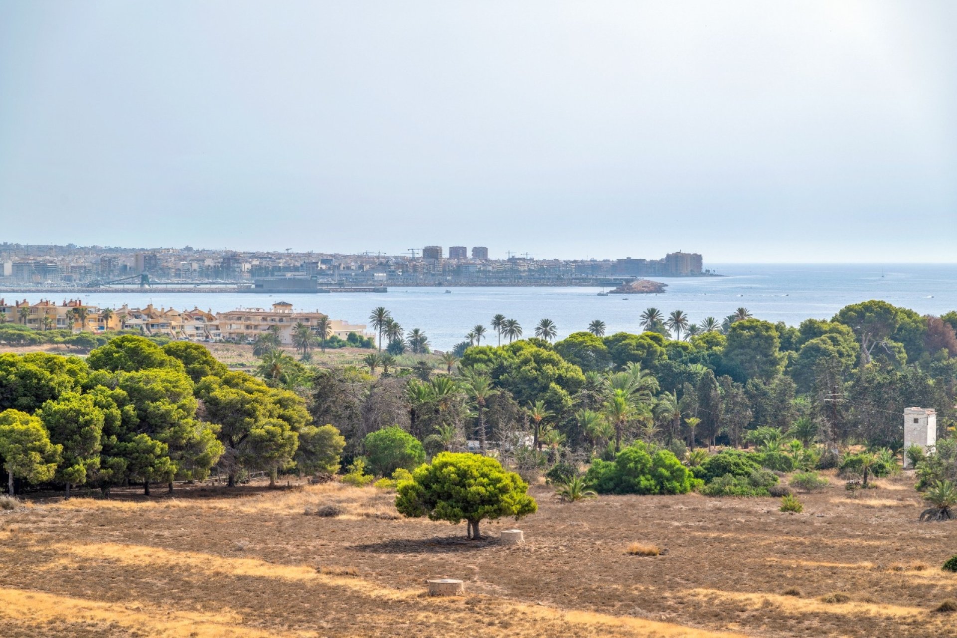 Resale - Apartments - Flats - Orihuela Costa - Punta Prima