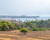 Resale - Apartments - Flats - Orihuela Costa - Punta Prima
