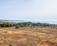 Resale - Apartments - Flats - Orihuela Costa - Punta Prima
