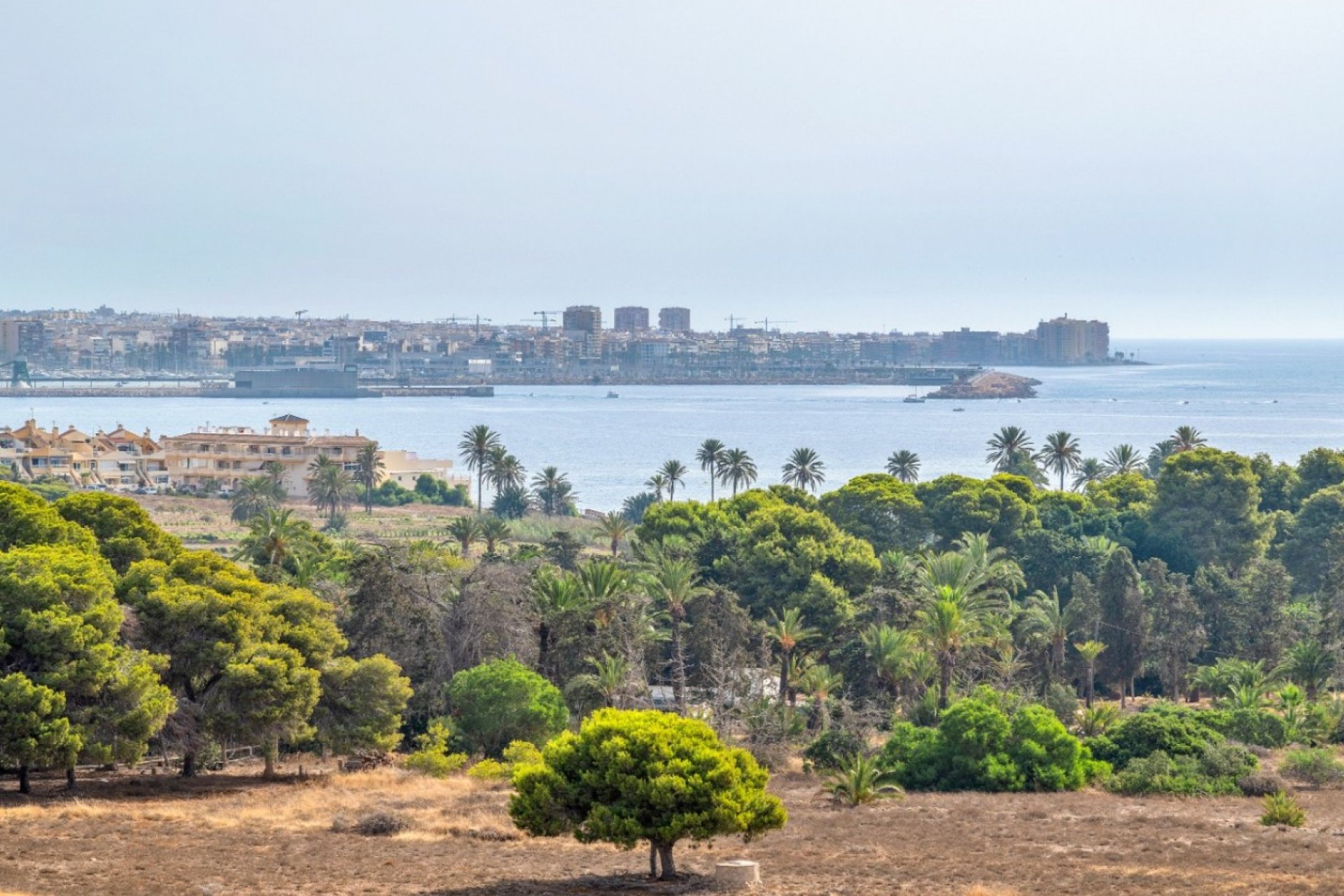 Resale - Apartments - Flats - Orihuela Costa - Punta Prima