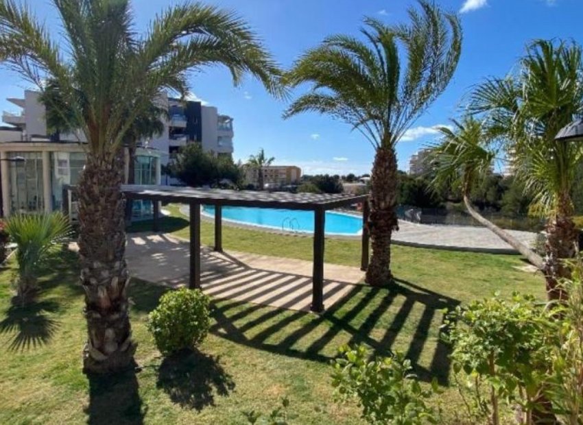 Resale - Apartments - Flats - Orihuela Costa - Villamartín