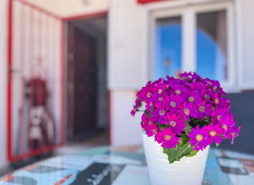 Resale - Apartments - Flats - Torrevieia - Cabo Cervera
