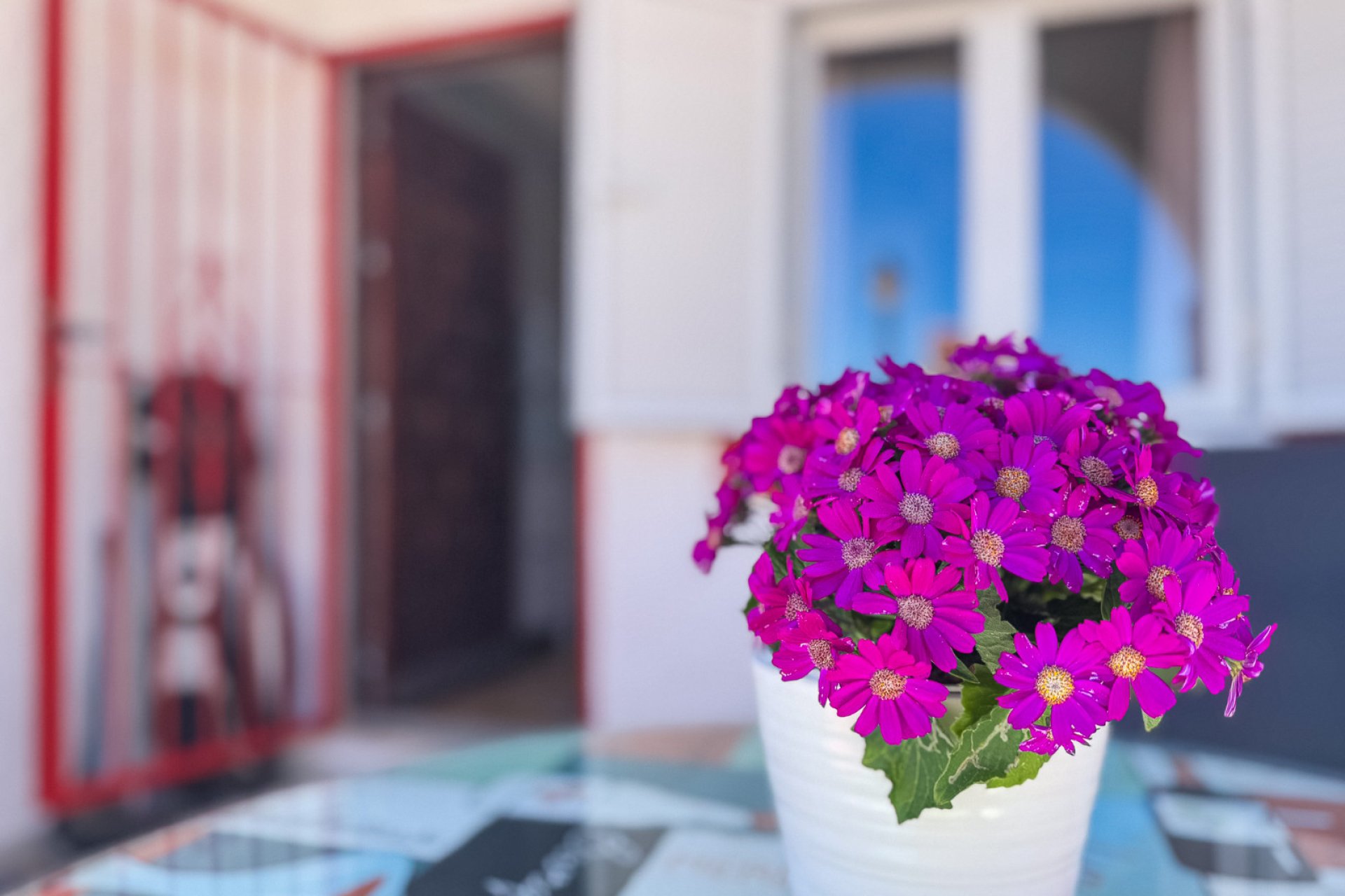 Resale - Apartments - Flats - Torrevieia - Cabo Cervera